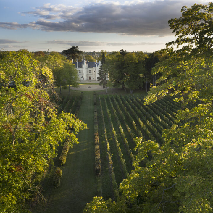 Château Baudry-Dutour